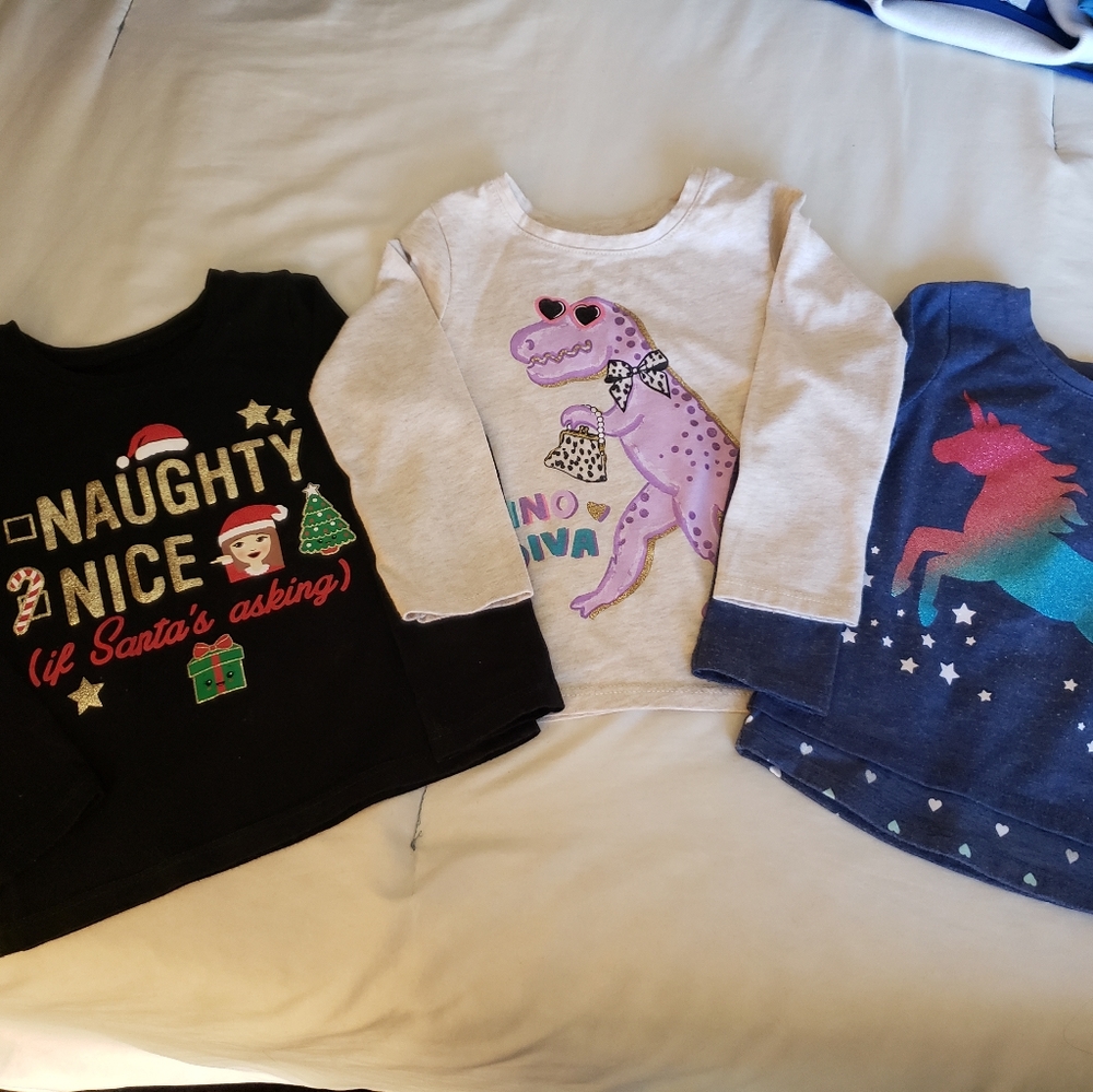 Girl Bundle of 3 long sleeved shirts 2T